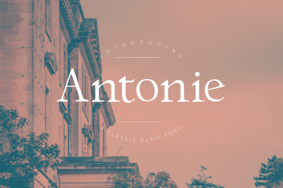 Antonie: A Timeless Serif for Creative Projects