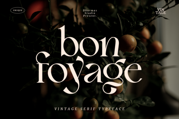 Bon Foyage: A Serif Font for Impactful Design