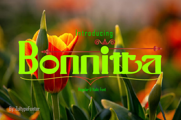 Bonnitta: A Serif Font for Impact