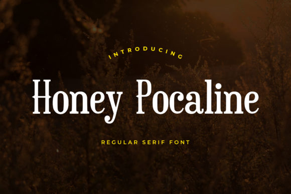 Classic Serif for Timeless Design