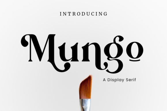 Mungo: A Stylish Serif Font