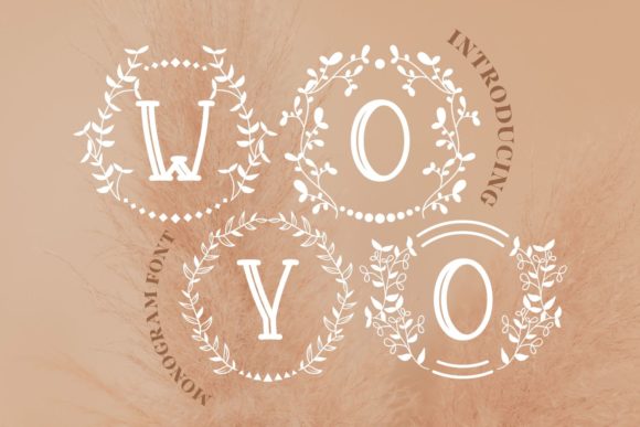 Woyo Font Review